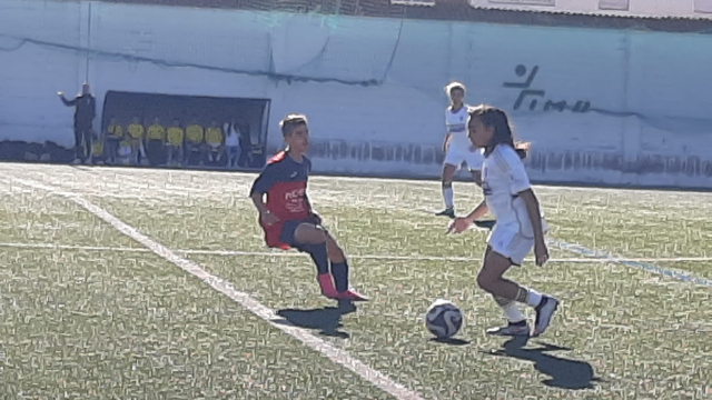 Fotografías 25/11/2023 (3)